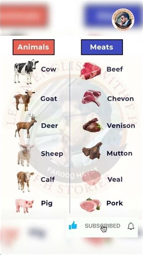 Animals vs Meats in English | Improve Your Vocabulary Fast!