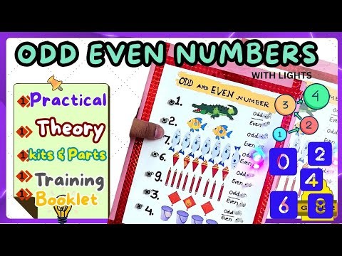 Odd and Even Numbers Made Easy | Maths Patterns Explained in Model | Ontex Electronics Projects