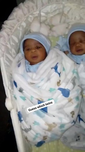 28K views · 5K reactions | Guess which twins  #reelschallengereelschallenge #highlightseveryone #weightlossjourney #videograms #manipulation #wednesday | Double Twins vlog | Facebook