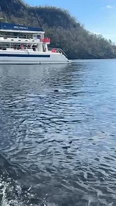 Off the coast of St. Vincent taking a dip after enjoying a boat ride visiting various sights where they shot Pirates of the Caribbean. One of the many excursions I took while on my cruise 🚢 with #virginvoyages FYI The water is crystal clear but it looks black. The sand is actually black and gives is that look. Amazing experience walking on a black sand beach in #stvincent #vacation #blacksandbeach #lovecruising #crystalclearwater #cruise #cruising #excursions #beachbody #beachwear #beachvibes #