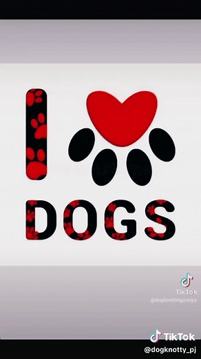 #dogknottingtoy #doglover #zoophia #contentcreator