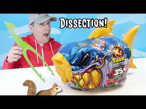 Treasure X Shark Dissection Sunken Gold Hunters 2025 Review