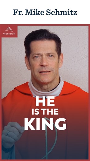 3.7K views · 1.7K reactions | Turns out that “boring” genealogy in Matthew is actually making a bold claim: Jesus is King. #catholic #homily | Ascension | Facebook