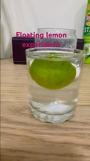 Water Density Experiments with lemon for kids.Childhood Easy Experiment.