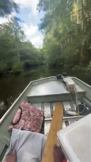 Fishing new lake for MONSTER BASS #bassfishing #monsterbass #onthewater