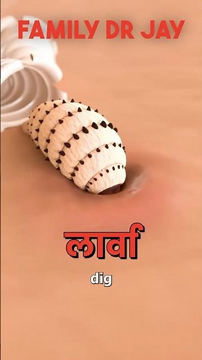 What will happen if insects lay eggs on your feet? 😳 The Impact of Insect Eggs laid on foot.