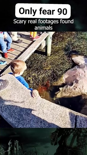 14M views · 94K reactions | Scary creature #creepytok #horrorcreature #horror #scary #ghost #ghosthunter #scaryvideo #scarystories #horrormovies #strangesthings #ghosthunt | only fear90 | Facebook
