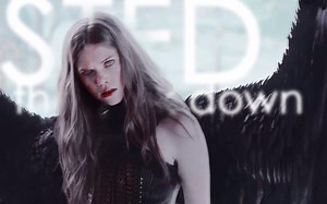 【Multifandom|影视群像】【7人合作|collab】STFD