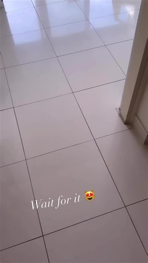 manxythewhitecat on TikTok