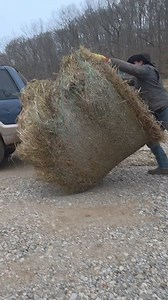 23K views · 429 reactions | Doing more Ford exploder stuff #redneck #fordexploder | Eli Miller | Facebook