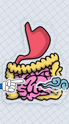 Why Does Our Stomach Growl When We're Hungry?