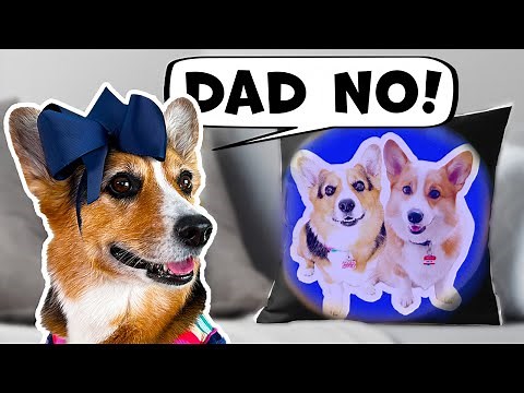 DOG GETS UNEXPECTED GIFT FROM DAD