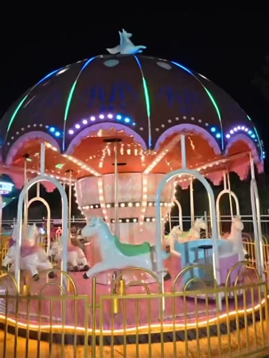 used carousel for sale #amusementequipment #amusementrides #fairgroundrides #funfairride #carouselforsale #merrygoroundforsale #usedcarouselforsale