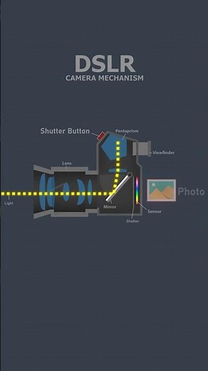 🔥how 🤔❓ DSLR CAMERA Mechanism Work ?/ inside in dslr camera #dslr #dslrguide
