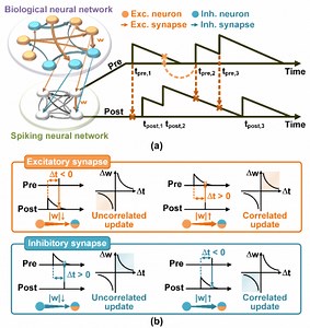 A Brain-Like Chip Interprets 'Neural Network Connectivity' in Real Time | Newswise