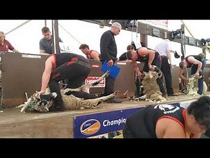 Lochearnhead Shears 2022 Open Final