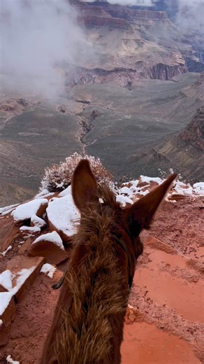 66K views · 919 reactions | Upon the cliffs where eagles soar, Where...