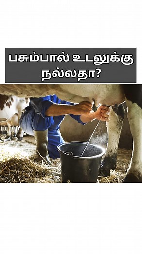 Dr. Isacc Abbas on Instagram: "The carbohydrate, protein and fat content of milk from one species is finely tuned to meet the nutritional requirements of that particular animal whether human, elephant, buffalo, camel or dog. For eg. Leucine is a unique amino acid in cow’s milk which stimulates muscle protein synthesis. Cow’s milk contains 3.3 grams per litre and the calf doubles its birth weight after 40 days. Human milk contains 0.9 grams per litre and the human infant, the mammal with the slow
