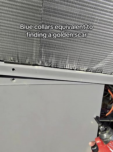 Discovering the Blue Collar's Golden Scar