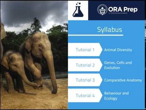 An Introduction to Zoology: Online Course