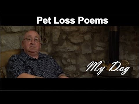 Pet Loss Poems - My Dog
