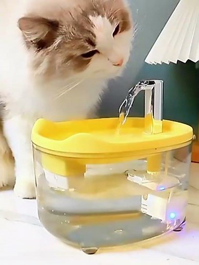 Fontaine d'eau automatique pour chat avec filtre | Distributeur d'eau à