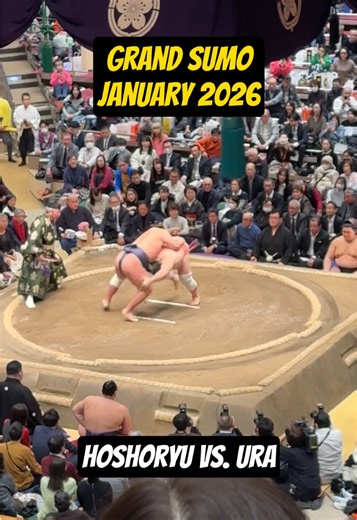 Hoshoryu vs. Ura: Exciting Sumo Match Highlights