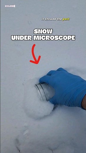 Snow Under A Microscope