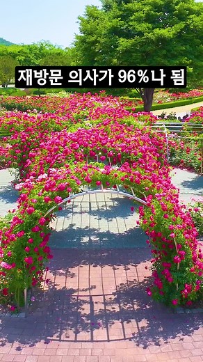 삼척 여행과 잼미 축제: 꼭 방문해야 할 핫플