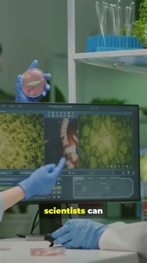 How Trees Keep Time | The Secret Language of Tree Rings