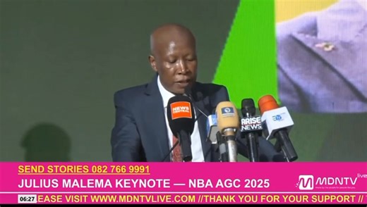 8.8K views · 329 reactions | EFF leader Julius Malema says South Africans must never forget Nigeria’s sacrifice for our freedom. Today SA and Nigeria must transform that solidarity into leadership for Africa’s future. | MDN News | Facebook