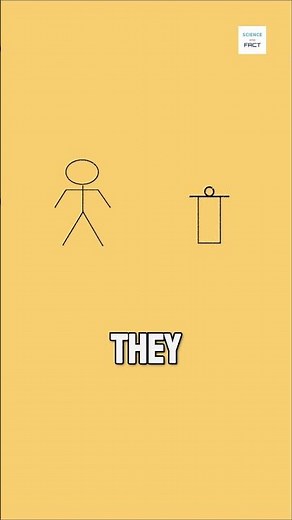 How Wheel Was Invented