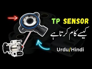 Throttle Position Sensor (TP Sensor) || Location | Function | DTCs | Wiring | Causes | Symptoms