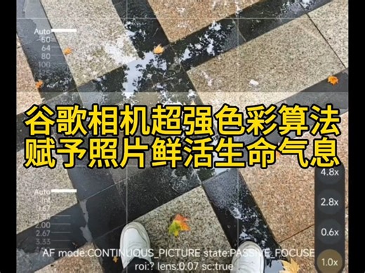 谷歌相机超强色彩算法赋予照片生命气息。