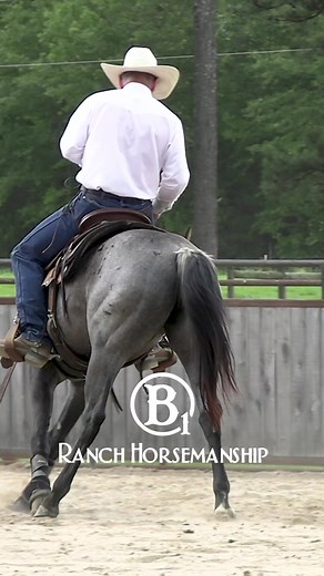 From the collection: How To Teach a Horse To Spin Part 2 Find the resistance. https://b1horsemanship.com B1 Horsemanship is a one-of-a-kind company that prides itself on providing an extensive and authentic collection of instructional videos for individuals in the ranching and horse training industry, as well as casual horse owners. Our main focus is to give a detailed and up-close look at horse and stockmanship skills, showcasing the real, raw side of horse training and stock handling like neve