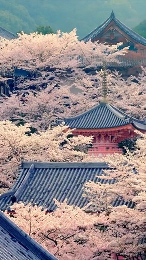 23K views · 31 reactions | #INSPIRATION  ✈️  Plongez au coeur du...