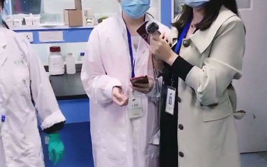 详解|一个视频让你学会co-IP