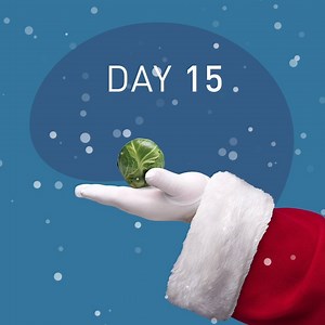 6.9K views · 248 reactions | 10 days until Christmas AND just 10 more...