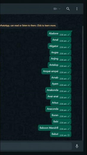 Cara spam WhatsApp #tutorial #coding #programming #python #artificialintelligence #tipsandtricks