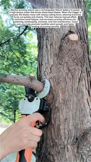 Electric Pruning Shears – Fast & Effortless Branch Cutting!
