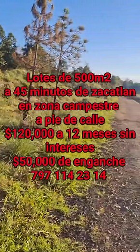 1.9K views · 84 shares | No dejes pasar esta oportunidad y adquiere tu lote para tu casa o cabaña de descanso y que mejor que cerca de los pueblos mágicos de zacatlan y chignahuapan puebla #NoLoPiensesMas #informesal7971142314 | Zacatlan Chignahuapan Terrenos | Facebook