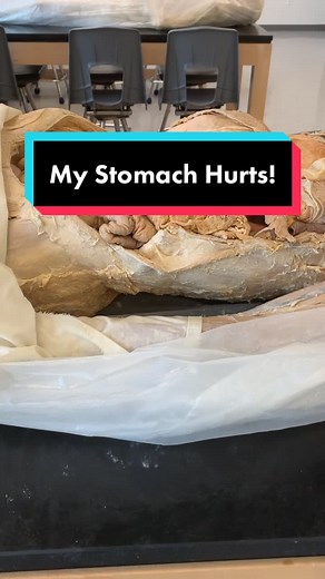 Understanding Stomach Aches: Causes and Remedies