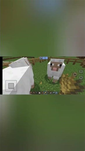 how to breed sheep in craftsman