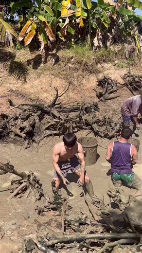 Video của Ông Con Trai (@ong_con_trai) với bản nhạc Dongchio_COTICHVIETNAM - Trần An Đông