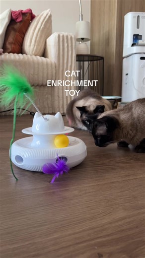 Interactive Cat Toy That Your Cats Will Love