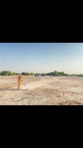 Hilarious Cricket Moments to Brighten Your Day