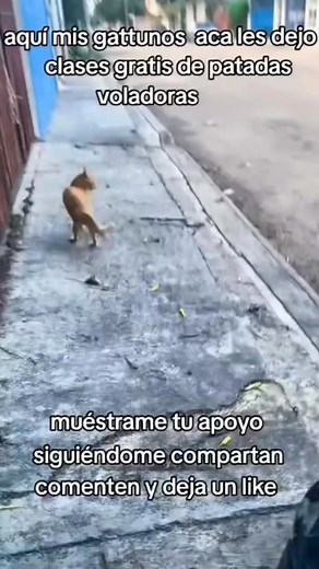 2.3K views · 89 reactions | Roxi Niño on Reels | Facebook