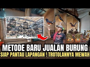 REKOR‼️METODE BARU JUAL TROTOLAN FIGHTER‼️BONUS SEGUDANG🔥 SEKOLAH MURAI DAN SIAP PANTAU LAPANGAN