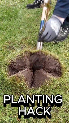 Plant a Tree in Seconds — Genius Spade “Plus Cut” Planting Hack 🌱⛏️