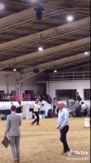 😳🤩 what is your biggest jump? @katie bell 👑 #katiebell98#katiebell#myhorseedits#showjumping#puissance#horseriding#horse#jumping#jump#greyhorse#grey